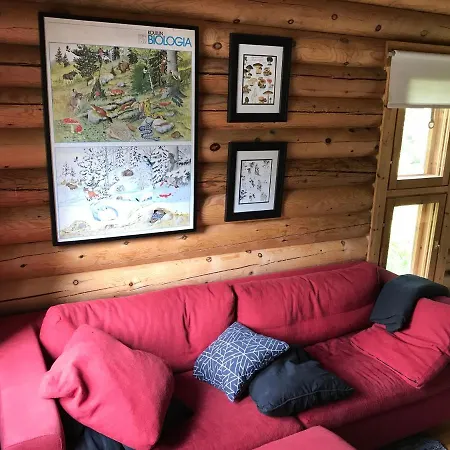 Log Cabin Pikku-Elsa Chalet Syote
