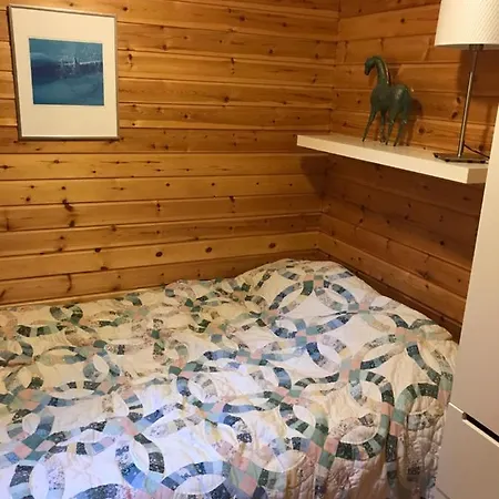 Log Cabin Pikku-Elsa * Syote